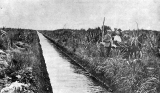 One of the great drains at the Waikaka